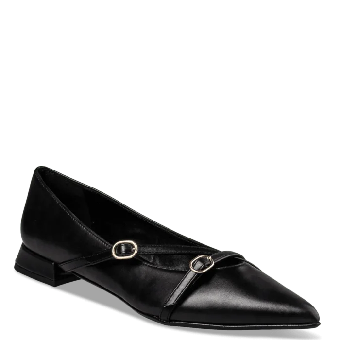 ENVIE SHOES POINTY BALLERINAS